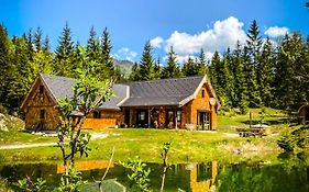 Chalet Wildalpen (in Ruhelage&mit Wellness)