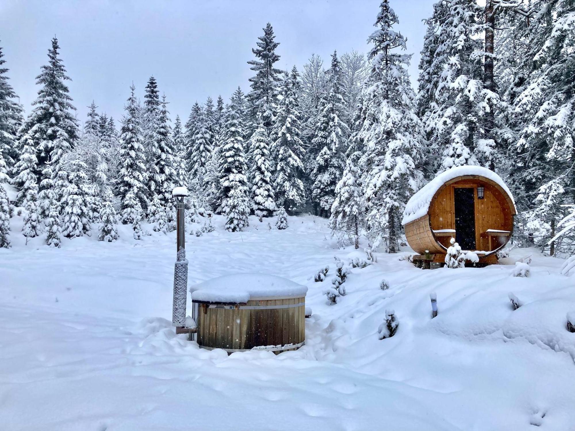 Chalet Wildalpen  Exterior foto