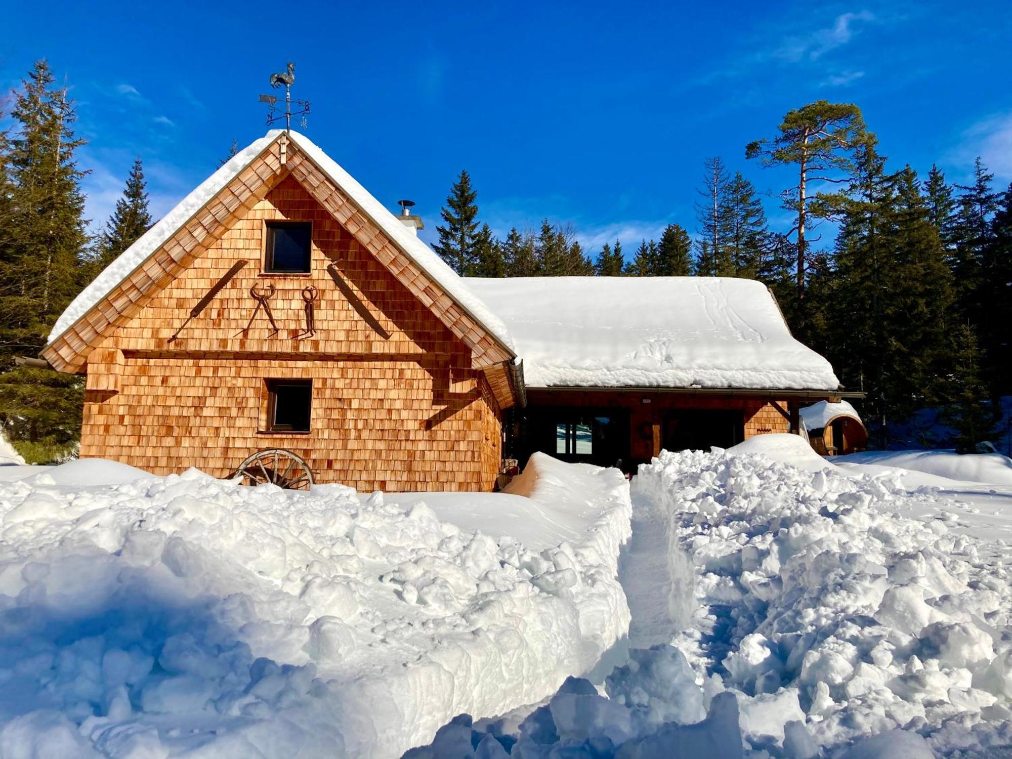Chalet Wildalpen  Exterior foto